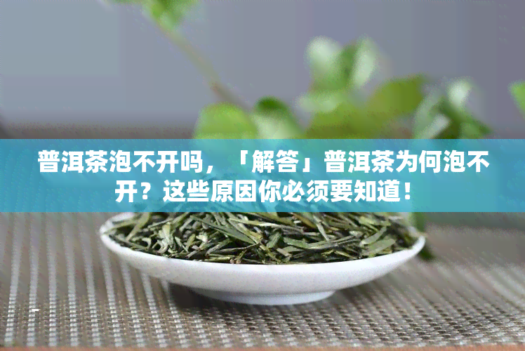 普洱茶泡不开吗，「解答」普洱茶为何泡不开？这些原因你必须要知道！