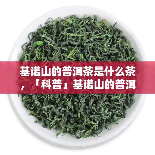 基诺山的普洱茶是什么茶，「科普」基诺山的普洱茶，你了解多少？