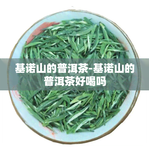 基诺山的普洱茶-基诺山的普洱茶好喝吗