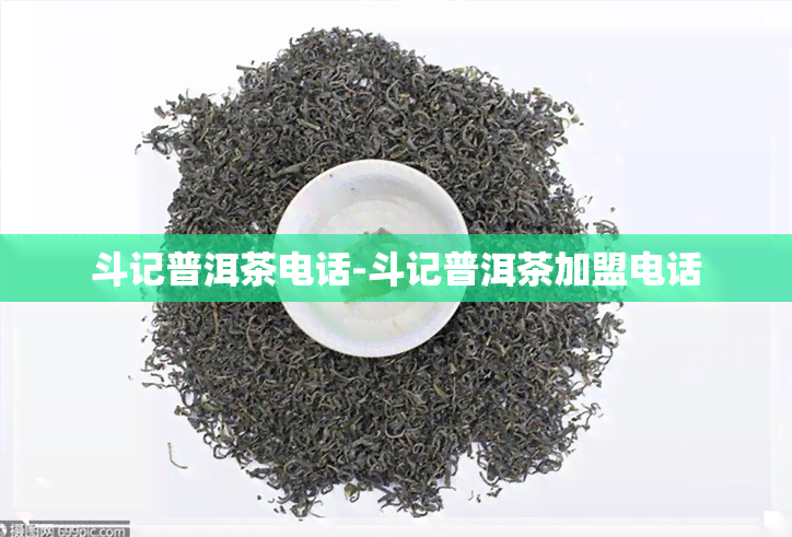 斗记普洱茶电话-斗记普洱茶加盟电话