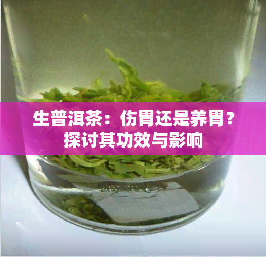 生普洱茶：伤胃还是养胃？探讨其功效与影响