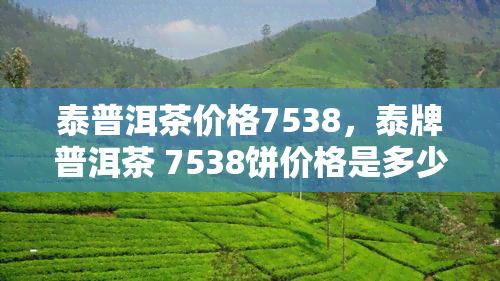 泰普洱茶价格7538，泰牌普洱茶 7538饼价格是多少