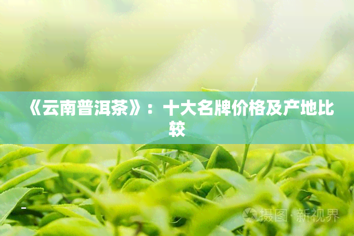 《云南普洱茶》：十大名牌价格及产地比较