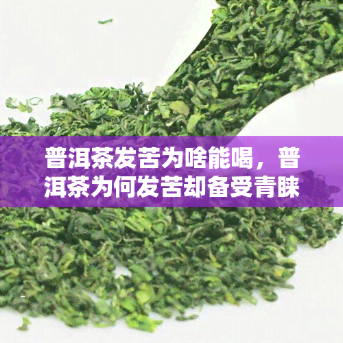 普洱茶发苦为啥能喝，普洱茶为何发苦却备受青睐？探究其魅力所在