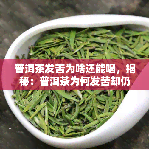 普洱茶发苦为啥还能喝，揭秘：普洱茶为何发苦却仍受欢迎？