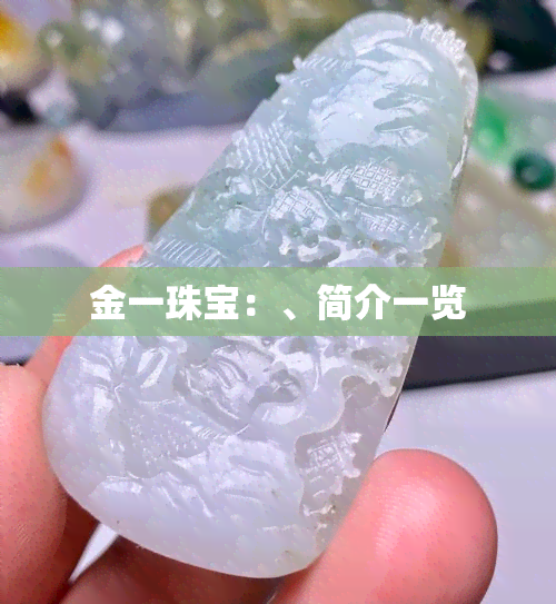 金一珠宝：、简介一览