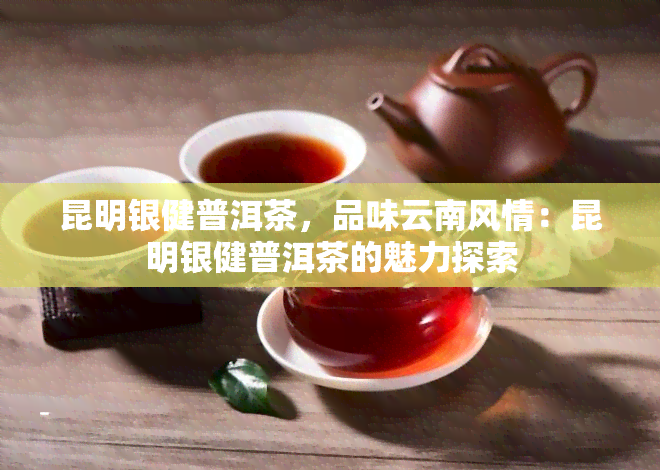 昆明银健普洱茶，品味云南风情：昆明银健普洱茶的魅力探索