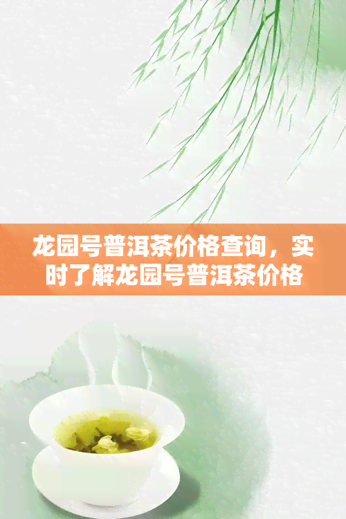 龙园号普洱茶价格查询，实时了解龙园号普洱茶价格，一键查询尽在掌握！