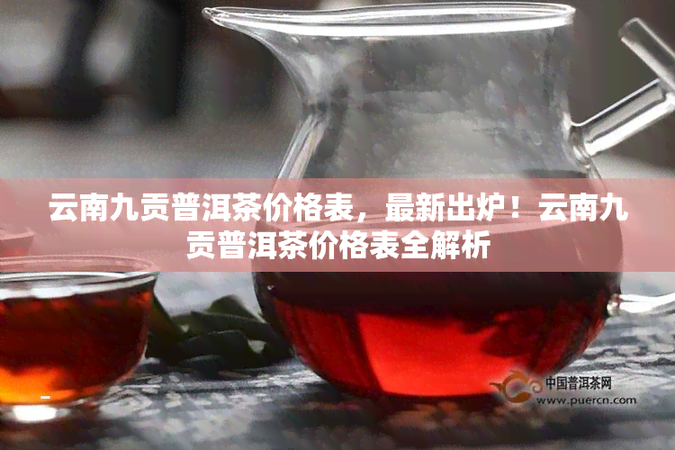 云南九贡普洱茶价格表，最新出炉！云南九贡普洱茶价格表全解析