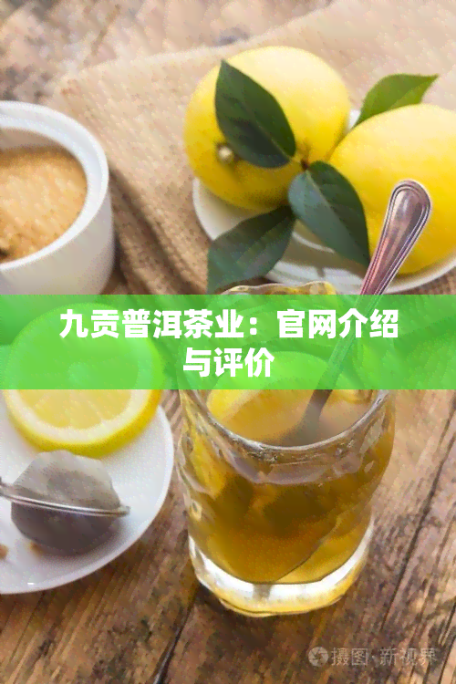 九贡普洱茶业：官网介绍与评价