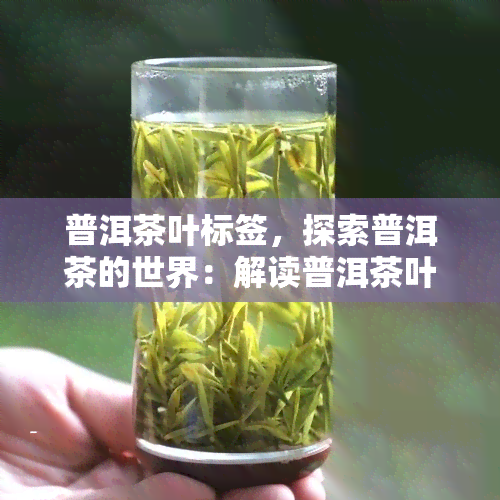 普洱茶叶标签，探索普洱茶的世界：解读普洱茶叶标签的意义和作用