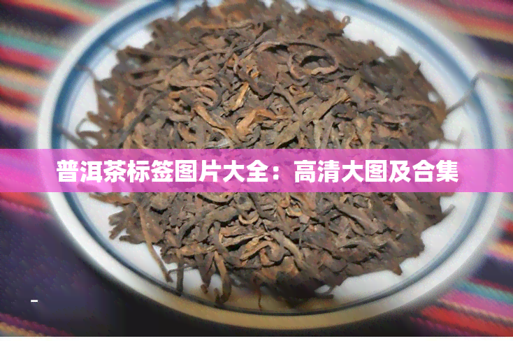 普洱茶标签图片大全：高清大图及合集