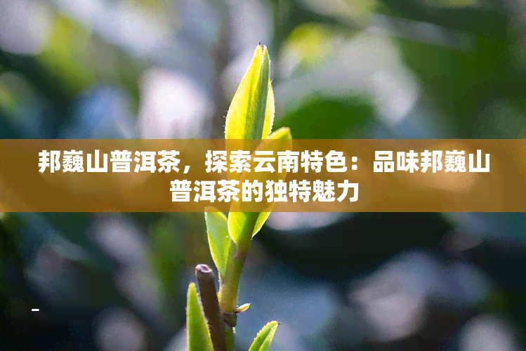 邦巍山普洱茶，探索云南特色：品味邦巍山普洱茶的独特魅力