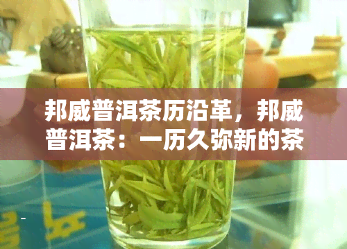 邦威普洱茶历沿革，邦威普洱茶：一历久弥新的茶文化之旅