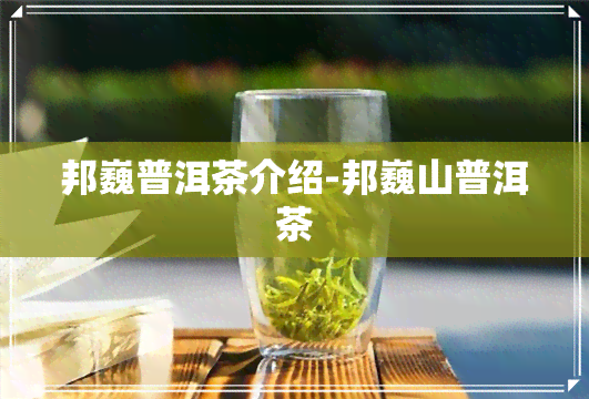 邦巍普洱茶介绍-邦巍山普洱茶