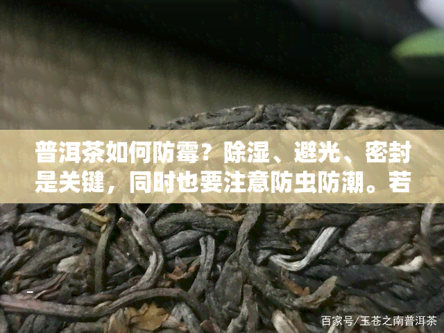 普洱茶如何防霉？除湿、避光、密封是关键，同时也要注意防虫防潮。若茶叶已有霉味，可用通风、晒太阳或加活性炭吸附等方法去除。