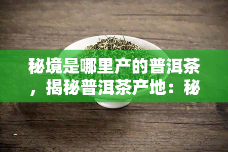 秘境是哪里产的普洱茶，揭秘普洱茶产地：秘境中的珍品