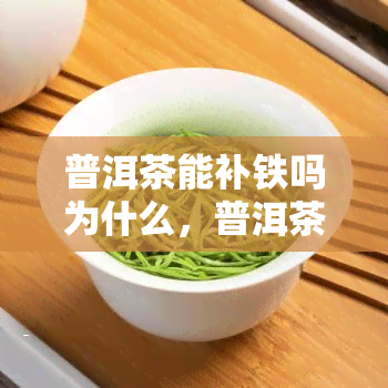 普洱茶能补铁吗为什么，普洱茶真的能补铁吗？原因解析