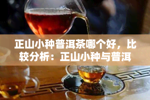 正山小种普洱茶哪个好，比较分析：正山小种与普洱茶的口感、产地和营养价值