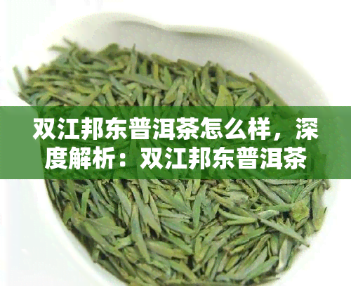 双江邦东普洱茶怎么样，深度解析：双江邦东普洱茶的品质与口感
