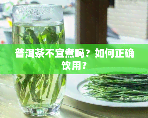 普洱茶不宜煮吗？如何正确饮用？