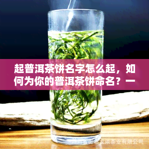 起普洱茶饼名字怎么起，如何为你的普洱茶饼命名？一份详细的指南