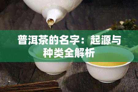 普洱茶的名字：起源与种类全解析