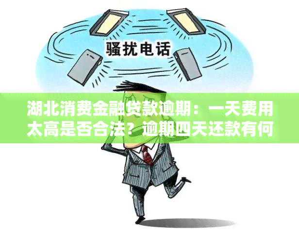 湖北消费金融贷款逾期：一天费用太高是否合法？逾期四天还款有何影响？