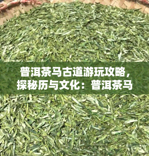 普洱茶马古道游玩攻略，探秘历与文化：普洱茶马古道游玩攻略