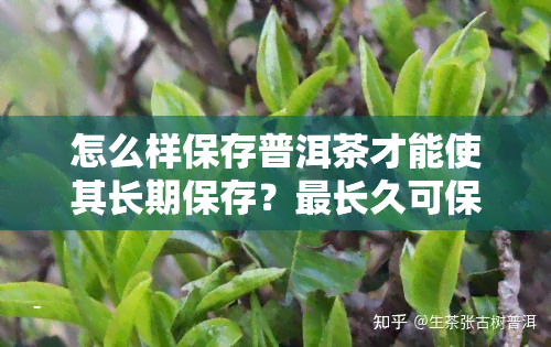 怎么样保存普洱茶才能使其长期保存？最长久可保存几年？详细方法解析