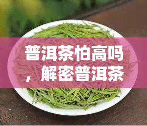 普洱茶怕高吗，解密普洱茶：它真的害怕高吗？