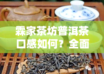 霖家茶坊普洱茶口感如何？全面评测告诉你