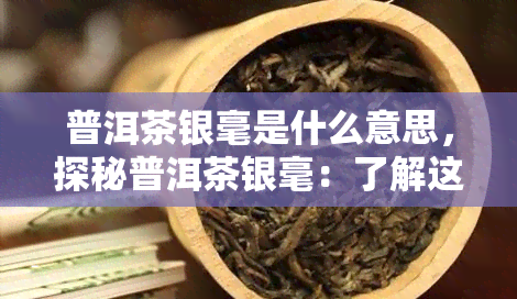 普洱茶银毫是什么意思，探秘普洱茶银毫：了解这一独特品种的含义与特点