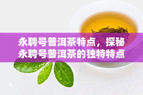 永聘号普洱茶特点，探秘永聘号普洱茶的独特特点