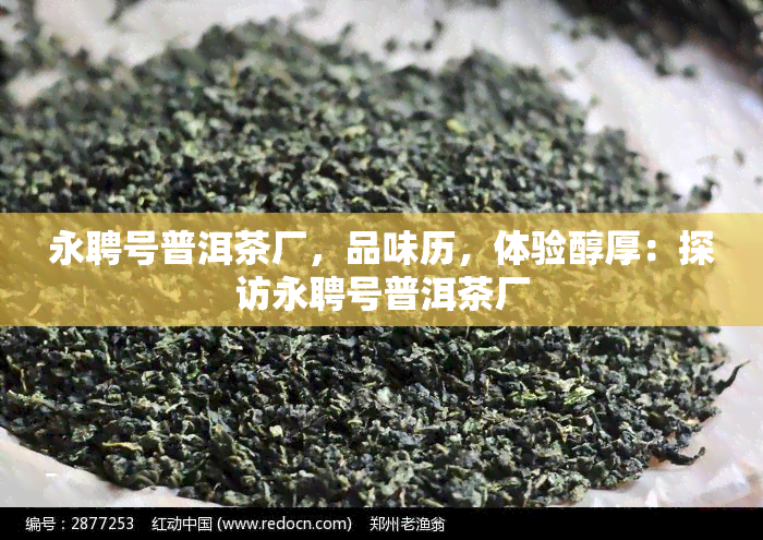 永聘号普洱茶厂，品味历，体验醇厚：探访永聘号普洱茶厂