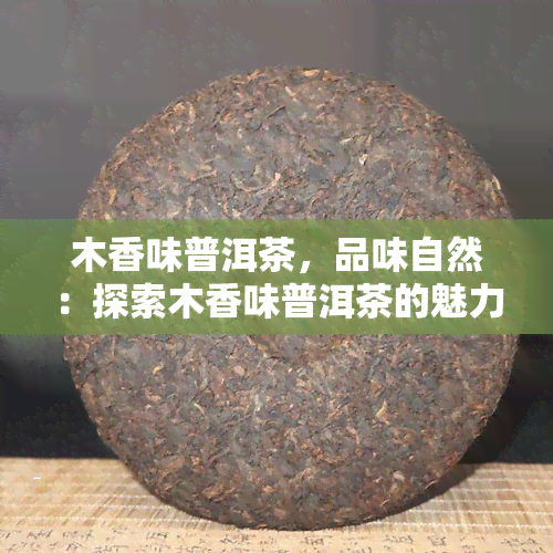 木香味普洱茶，品味自然：探索木香味普洱茶的魅力