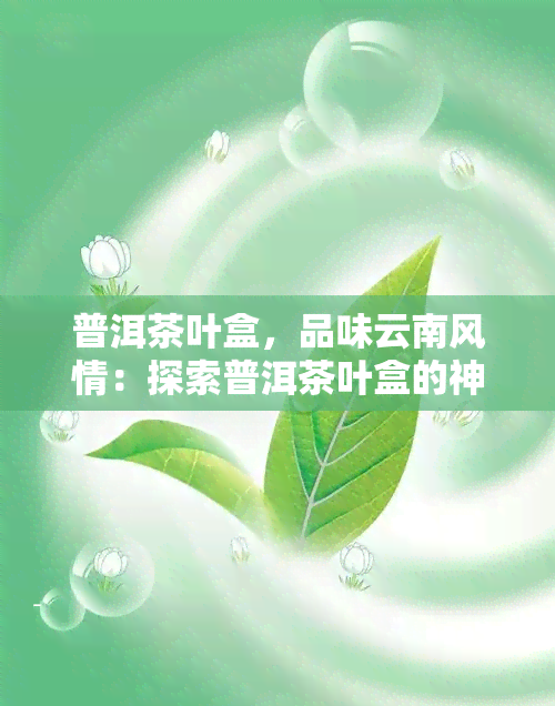 普洱茶叶盒，品味云南风情：探索普洱茶叶盒的神秘世界