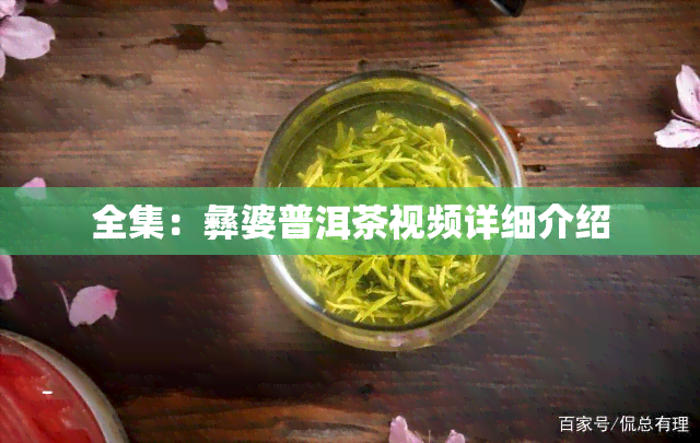 全集：彝婆普洱茶视频详细介绍