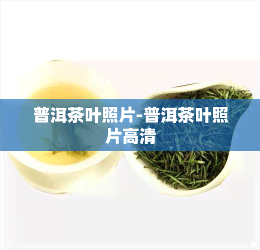 普洱茶叶照片-普洱茶叶照片高清