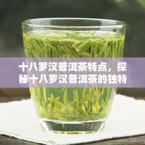 十八罗汉普洱茶特点，探秘十八罗汉普洱茶的独特魅力与特点