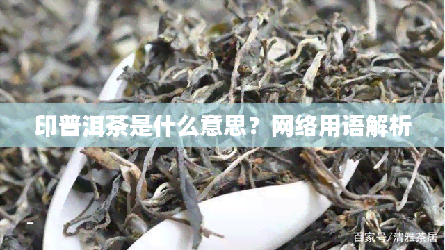 印普洱茶是什么意思？网络用语解析