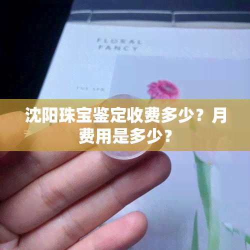 沈阳珠宝鉴定收费多少？月费用是多少？