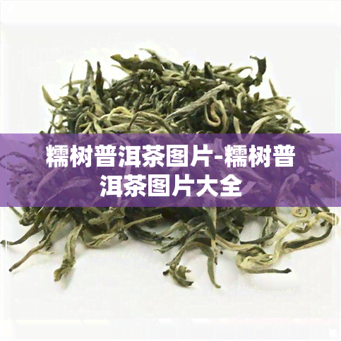 糯树普洱茶图片-糯树普洱茶图片大全