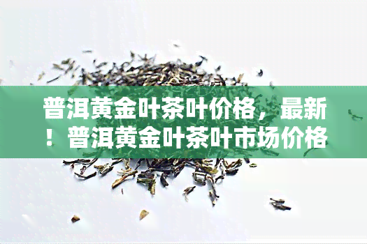 普洱黄金叶茶叶价格，最新！普洱黄金叶茶叶市场价格行情一览