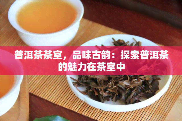 普洱茶茶室，品味古韵：探索普洱茶的魅力在茶室中