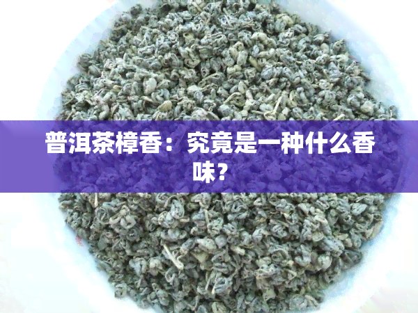 普洱茶樟香：究竟是一种什么香味？