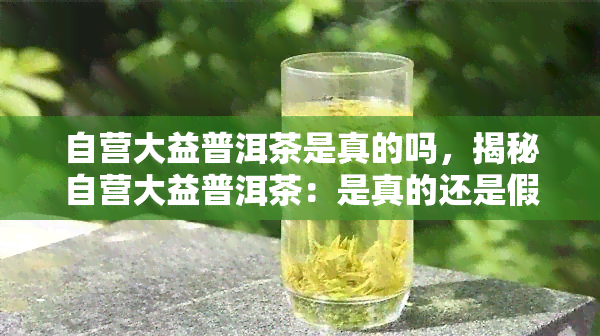 自营大益普洱茶是真的吗，揭秘自营大益普洱茶：是真的还是假的？