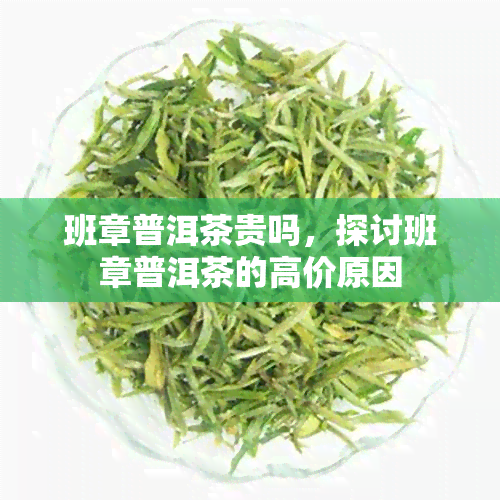 班章普洱茶贵吗，探讨班章普洱茶的高价原因