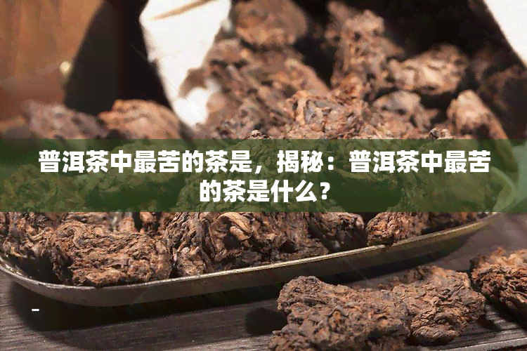 普洱茶中最苦的茶是，揭秘：普洱茶中最苦的茶是什么？