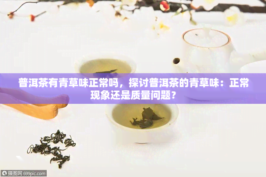 普洱茶有青草味正常吗，探讨普洱茶的青草味：正常现象还是质量问题？